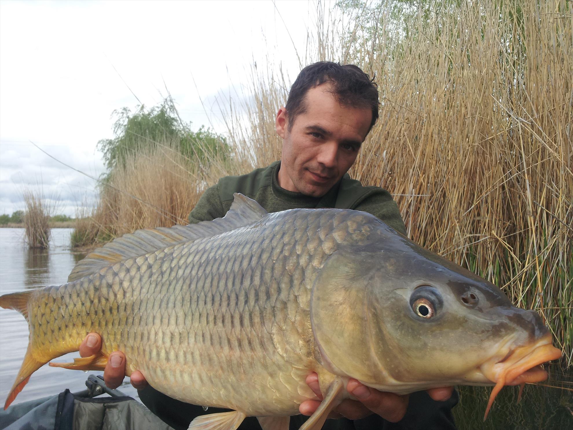 Tancabesti 11 - 12 apr. - 20000101030839.jpg